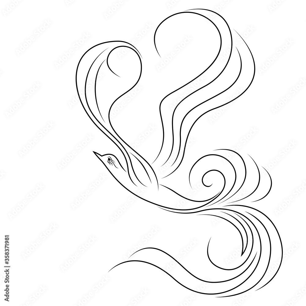 Abstract black outline of magic flying bird Abstract black outline of magic flying bird