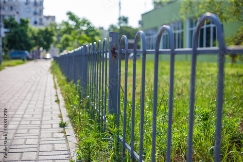 Wallpaper Mural Old abandoned fence on the street Torontodigital.ca