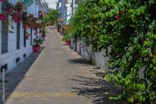 Typical Andalusian street in the old city. White houses and flowers in pots.
