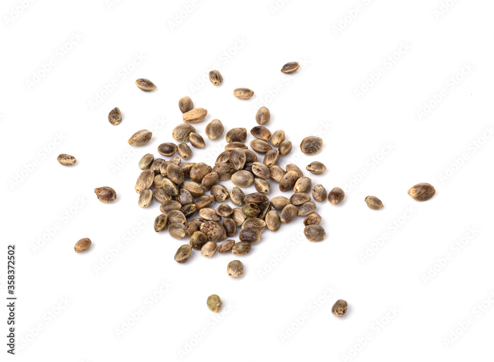 raw hemp seeds isolated on a white background. healthy lifestyle. weight loss and proper nutrition raw hemp seeds isolated on a white background. healthy lifestyle. weight loss and proper nutrition
