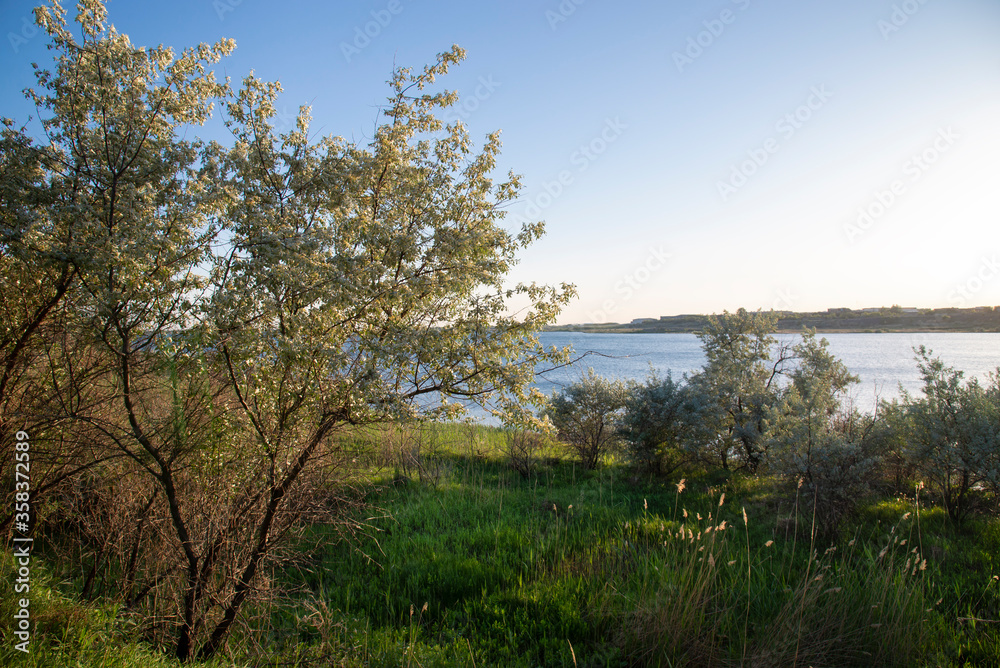 Beautiful view of the green lawn by the lake at golden hour. Beautiful view of the green lawn by the lake at golden hour.