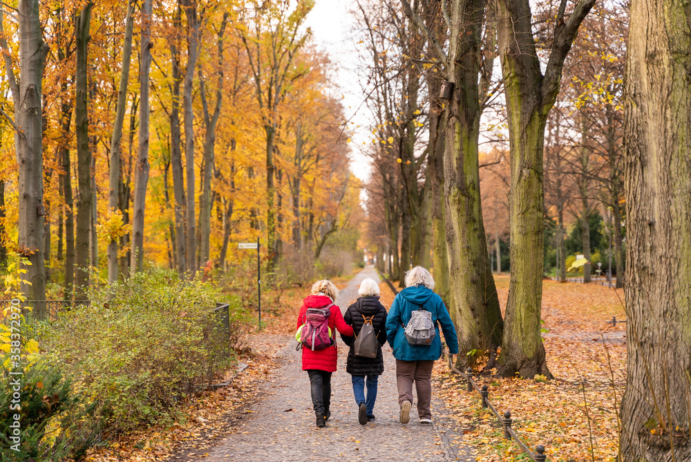 Fototapeta premium Image of three old womans walking holding arms during autumn, Berlin, Germany.