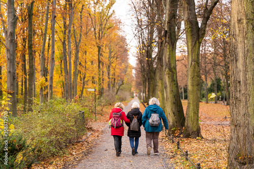 Image of three old womans walking holding arms during autumn, Berlin, Germany.