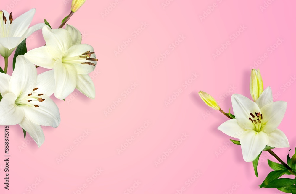 Flower. Flower.