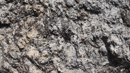 Closeup of a natural gray stone. Texture. Background. Scenery.