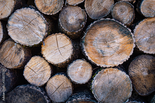 Sawn logs of different diameters