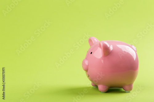 pink piggy bank on a green background.