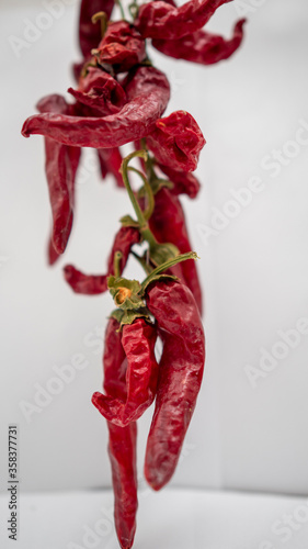 Dried Chillis hanging on a white background