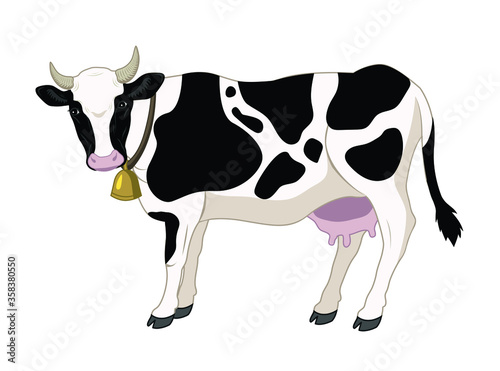 vector illustration of a cow