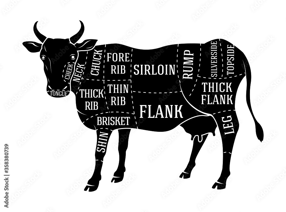 vector butchers diagram guide for cutting beef Stock Vector | Adobe Stock