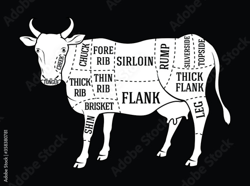 vector butchers diagram guide for cutting beef