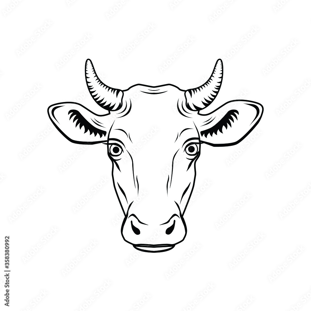vector illustration of a cow's head