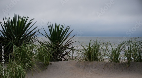 Fototapeta Naklejka Na Ścianę i Meble -  Topsail Island on a Cloudy Morning