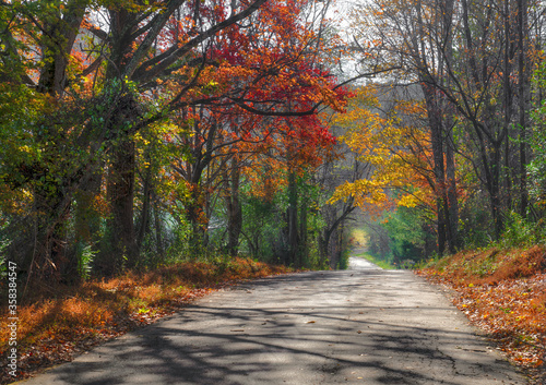 Bushy Gap Road in Autumn
