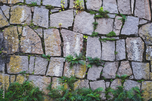 Fototapeta Naklejka Na Ścianę i Meble -  Road made of large gray stones and cobblestone and plants between them in the rain forest. Background of gray (grey) stones and green  plants