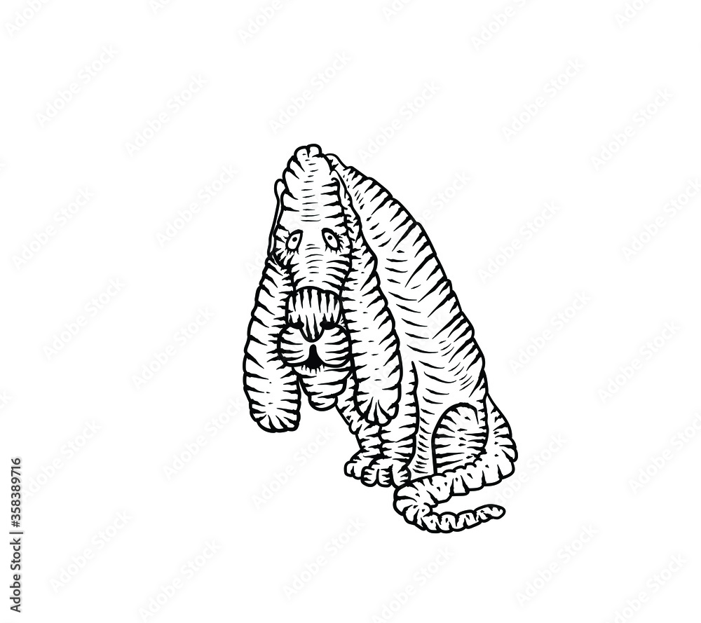 Basset Hound. Sad dog. Cartoon vector illustration Basset Hound. Sad dog. Cartoon vector illustration