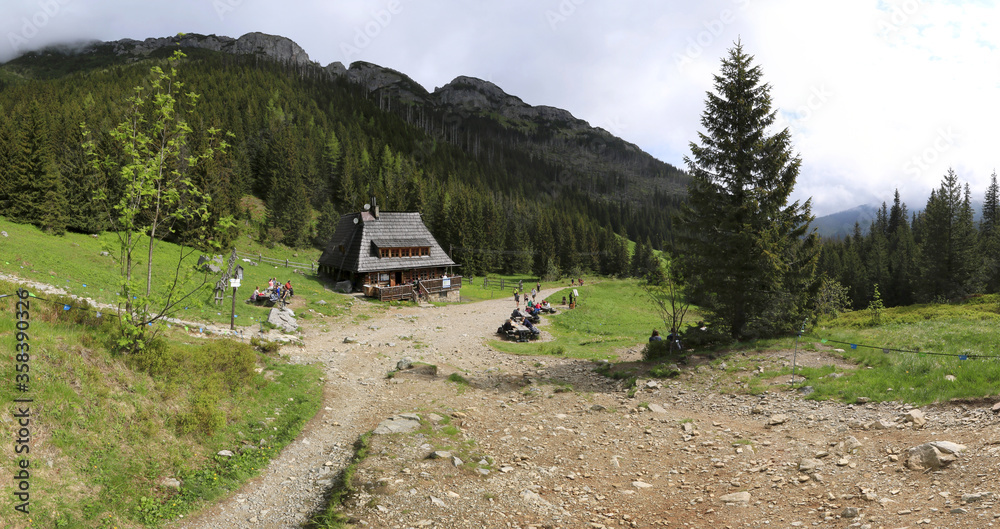Panorama of Kondratowa Valley, Tatra Mountains, Poland