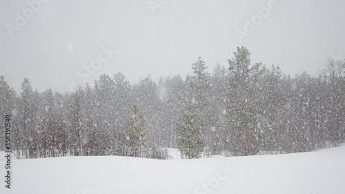 snowfall over winter field and forest in northern Norway