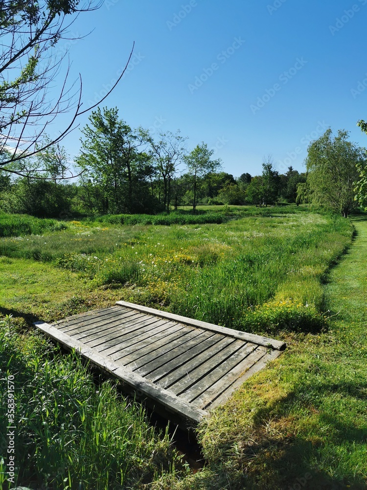 Countryside in Canada.