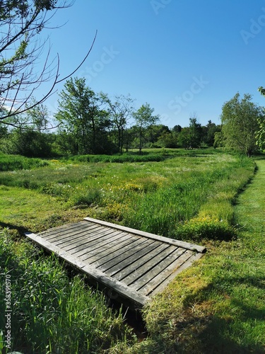 Obraz na płótnie Countryside in Canada. w salonie