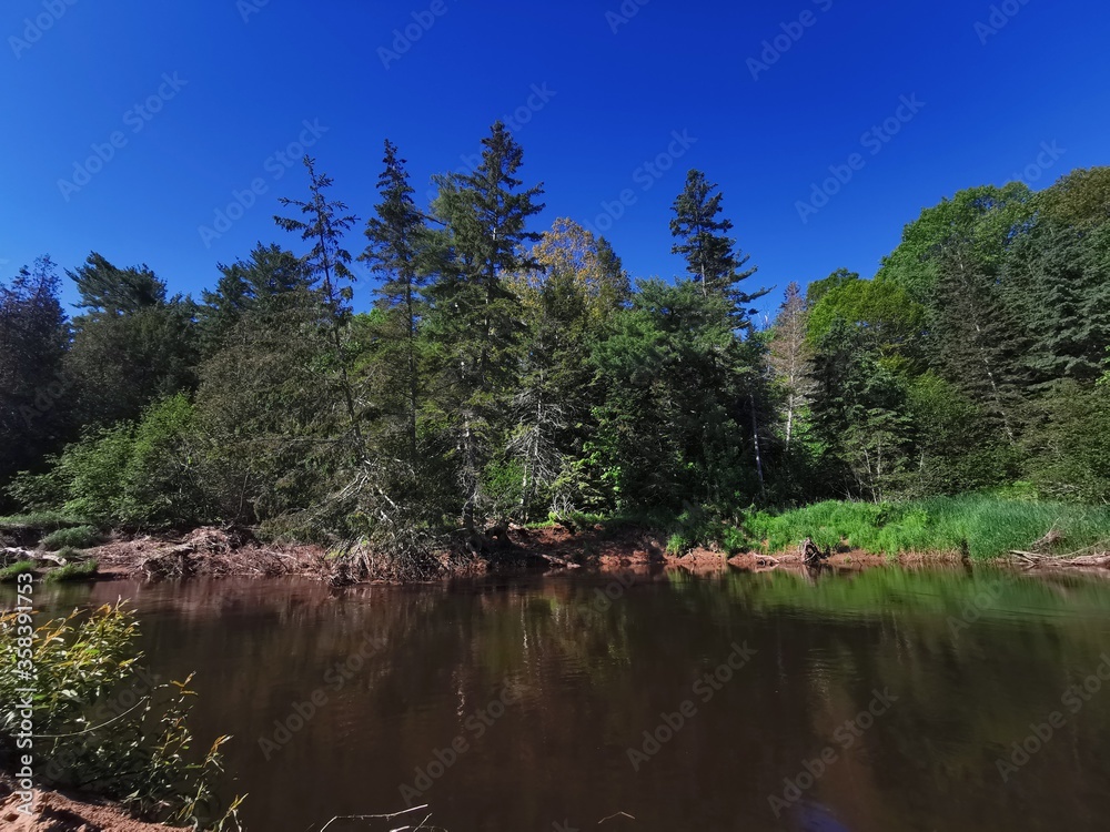 Summer scene in rural Canada.