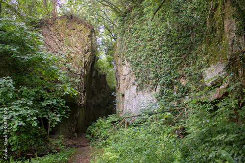 ruins and nature in the archaeological park of Sutri