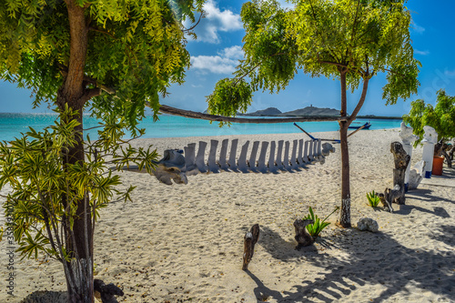 beautiful turquoise beach in the caribbean with trees photo