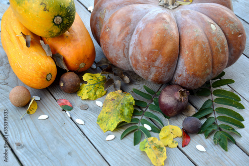 A large pumpkin lies on a wooden background. Festive autumn decor of pumpkins, seeds, zucchini and leaves. Still life for Thanksgiving or Halloween.