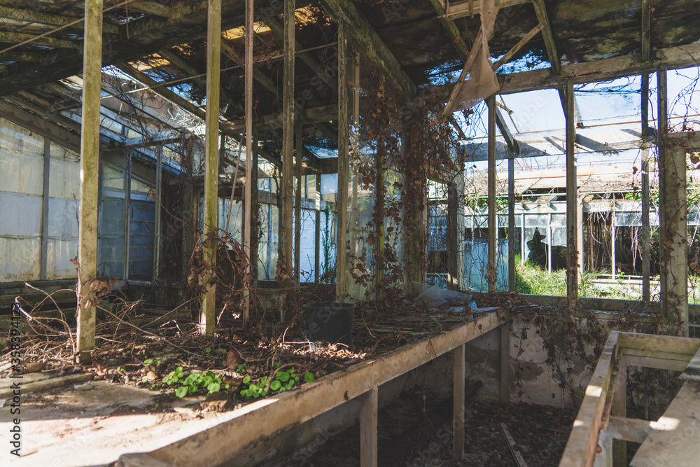 Old and dirty abandoned building with trees growing inside. Ruins of industrial factory greenhouse. Broken glass and ruined instruments. Covered with moss and illuminated by sunlight. Old and dirty abandoned building with trees growing inside. Ruins of industrial factory greenhouse. Broken glass and ruined instruments. Covered with moss and illuminated by sunlight.