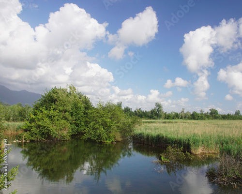 clouds and trees reflected on the lake