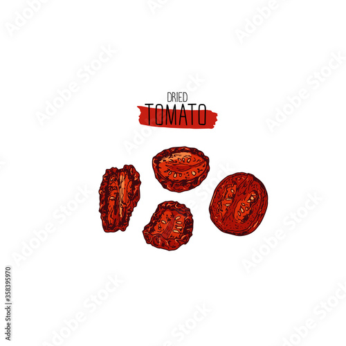 Hand drawn sketch style dried tomato. Color illustration. 