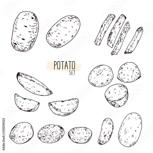 Hand drawn sketch style potato set. Potato chips, baked potatoes, potato wedges, French fries. Vector illustration. 