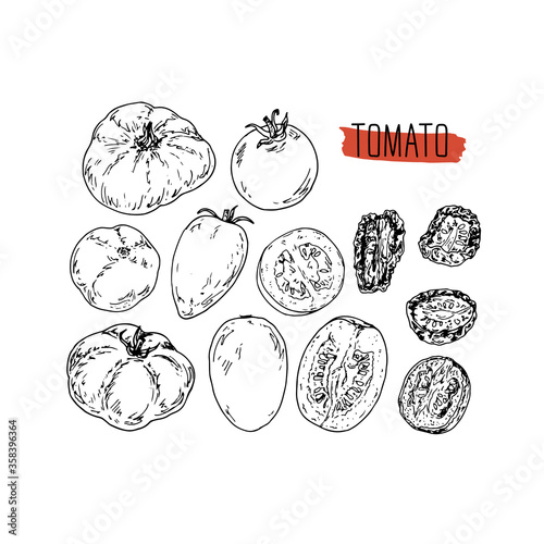 Hand drawn sketch style tomato set. Ripe ahd sliced tomato. Dried tomato. Vector illustration. 