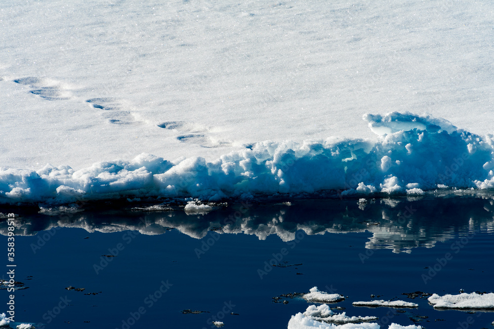 Obraz premium Ice landcape on the water in Arctic