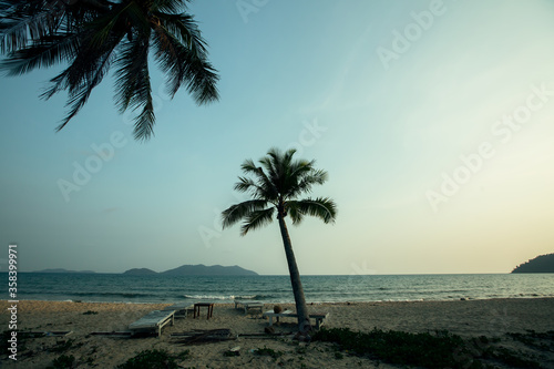 Palm trees on a tropical beach in the beautiful dusk.