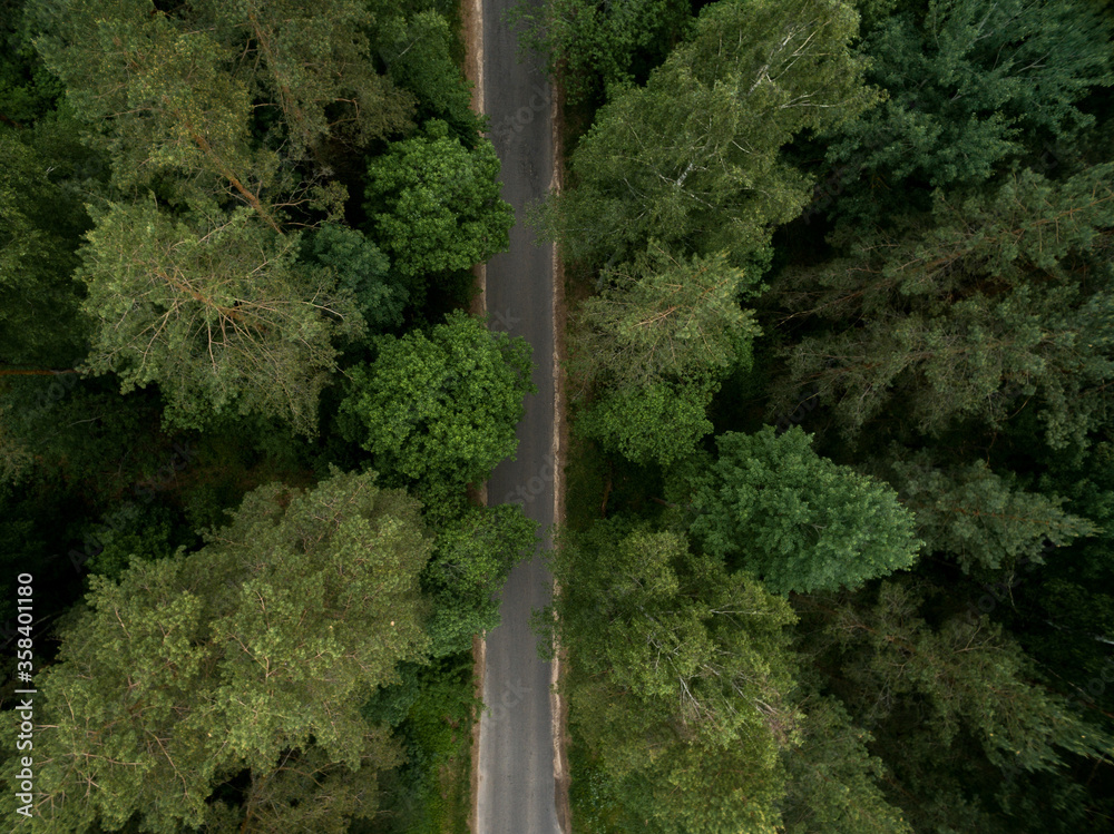 Asphalt road through the green forest. Summer landscape. Top view. Drone photo Asphalt road through the green forest. Summer landscape. Top view. Drone photo