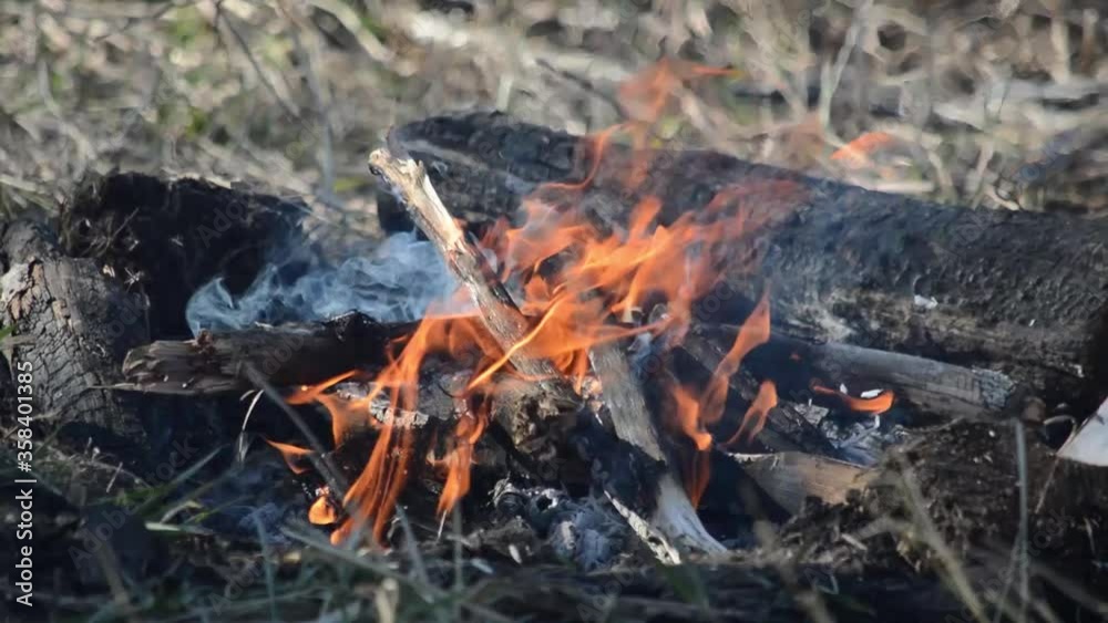 The fire is burning, smoke is coming from it. A child throws dry grass into a fire The fire is burning, smoke is coming from it. A child throws dry grass into a fire