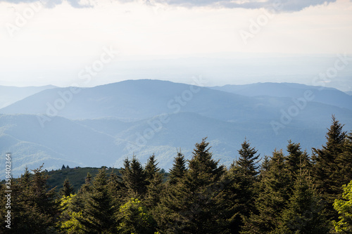 Hiking on the Appalachian Trail at Roan Mountain