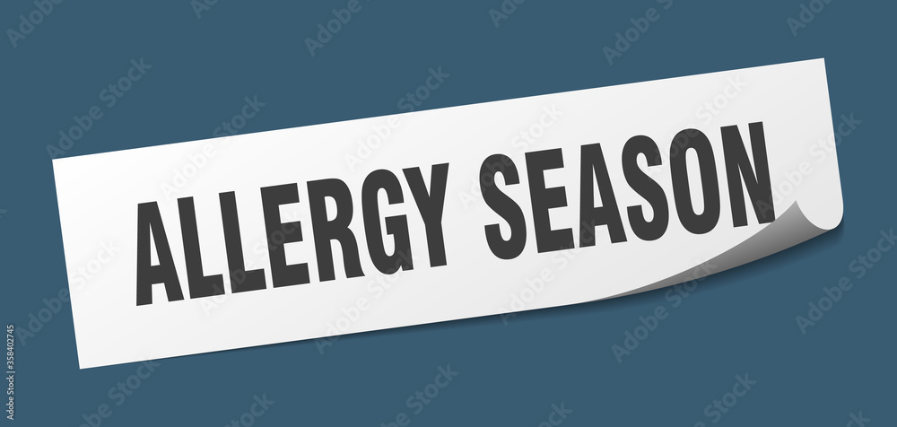 allergy season sticker. allergy season square isolated sign. allergy season label
