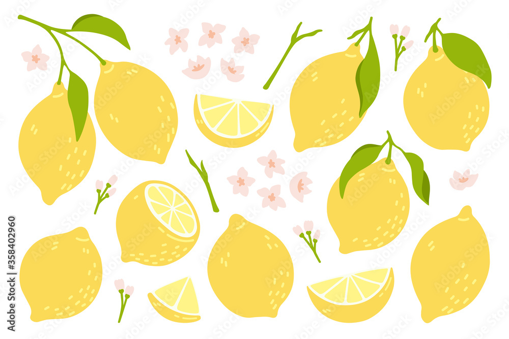 Set of whole, cut in half, sliced on pieces fresh lemons . Citrus fruit collection with lemon peel, flowers and leaves in hand drawn style. Vector illustration isolated on white background. Set of whole, cut in half, sliced on pieces fresh lemons . Citrus fruit collection with lemon peel, flowers and leaves in hand drawn style. Vector illustration isolated on white background.