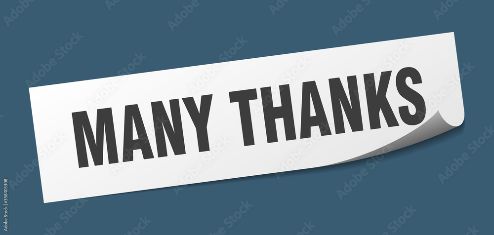 many thanks sticker. many thanks square isolated sign. many thanks label