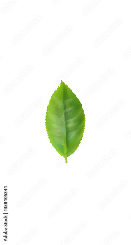 Obraz premium Green tea essential organic extract. Cosmetics skin care supplement. Health medicine vitamin poster template. Innovative technology green 3D realistic leaf glowing brand package vector illustration