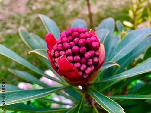 macro3