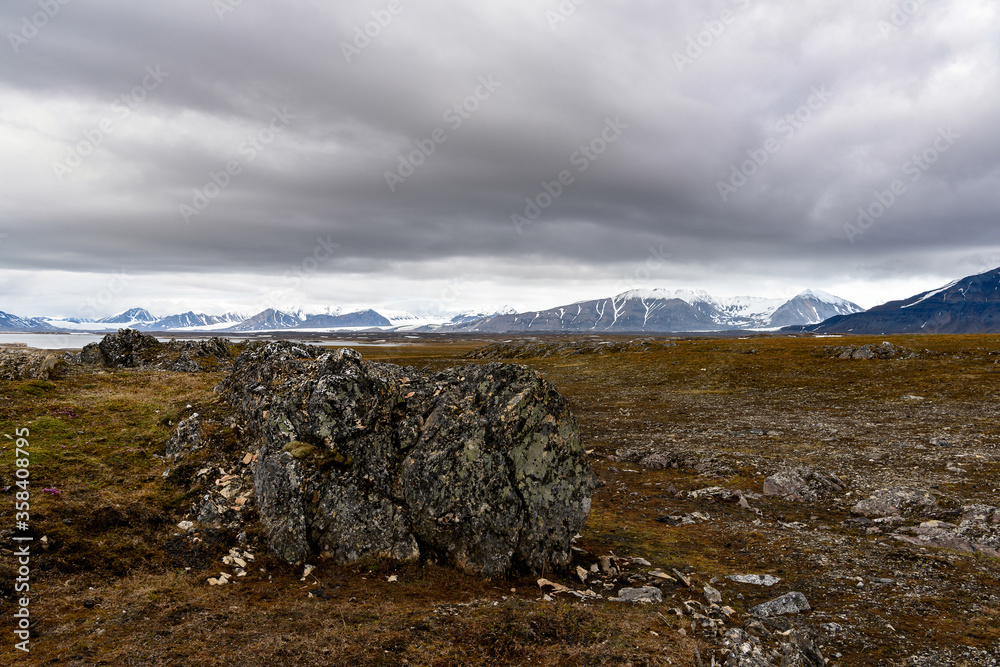 Stones and Nature of the Svalbard archipelago