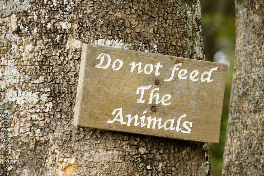 Painted wood sign that says DO NOT FEED THE ANIMALS posted on tree trunk