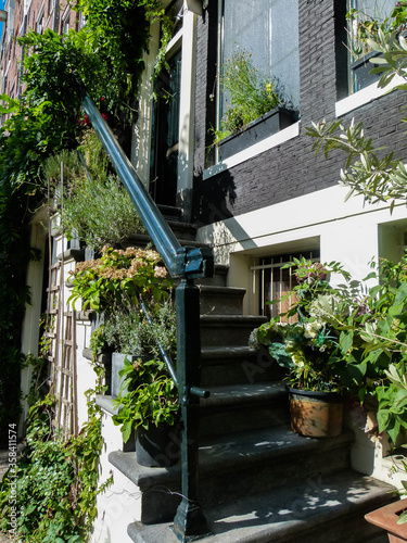 stairway with plants