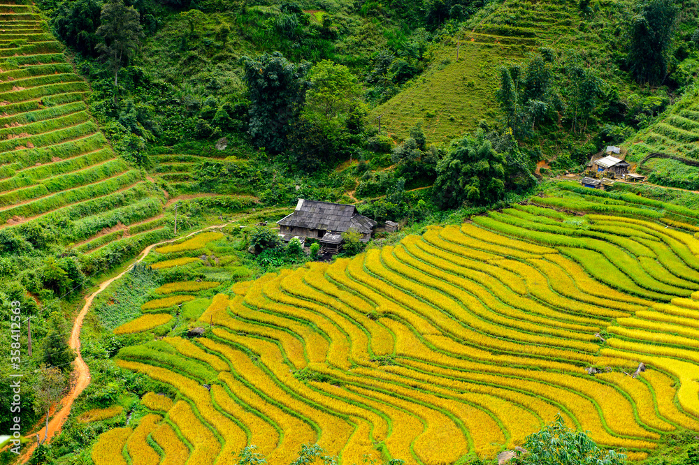 It's Rice terraces in Northern Vietnam