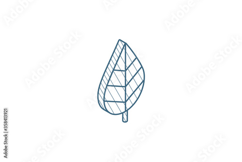 green leaf, eco isometric icon. 3d line art technical drawing. Editable stroke vector