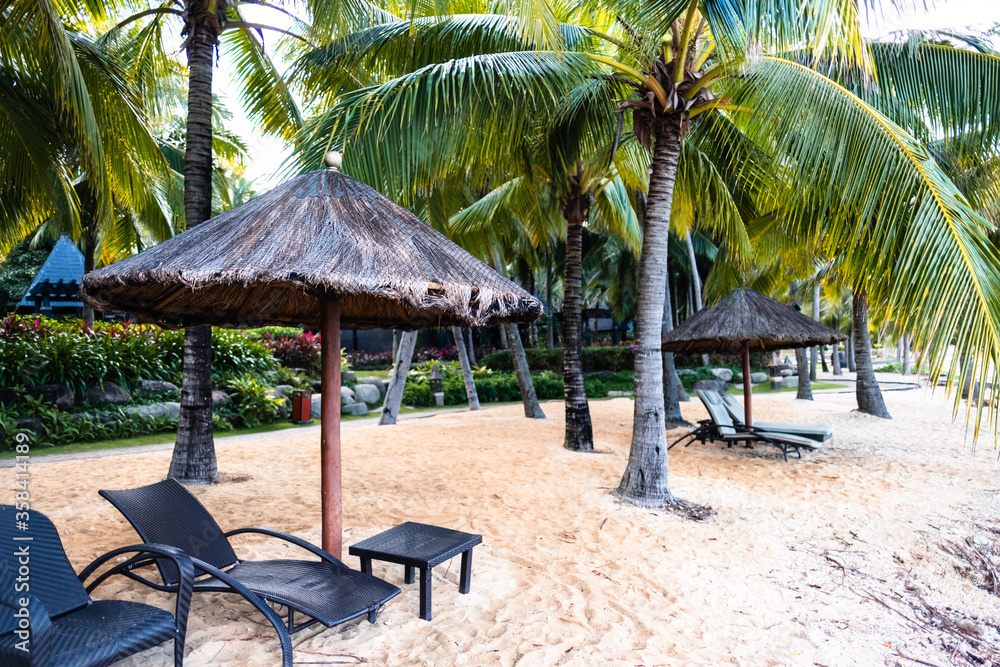 Recreation area near the sea with sunbeds and umbrellas. Tropical beach.
