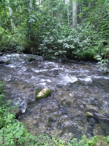 The irrepressible power of wild river water  in Tel Dan in Israel.